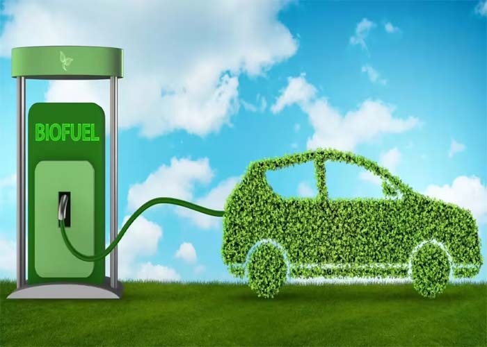 list-of-e20-cars-in-india