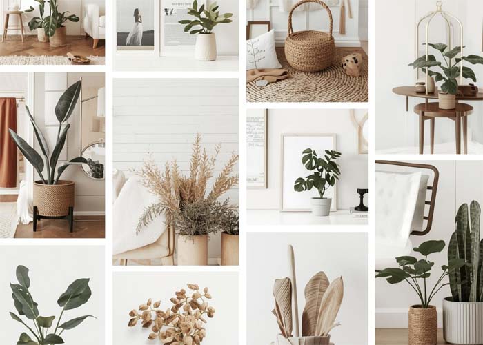 Exploring creative ideas using Mixboard AI and Pinterest