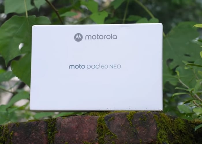 Back design of Moto Pad 60 Neo in Pantone Bronze Green color